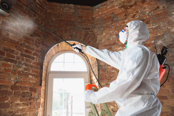 Best Comprehensive Air Testing for Mold Contaminants  in Swainsboro, GA